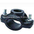 Tapping Saddle Fig. Sc111